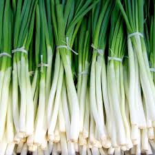 Oignon vert