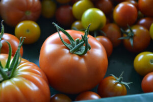 Tomate