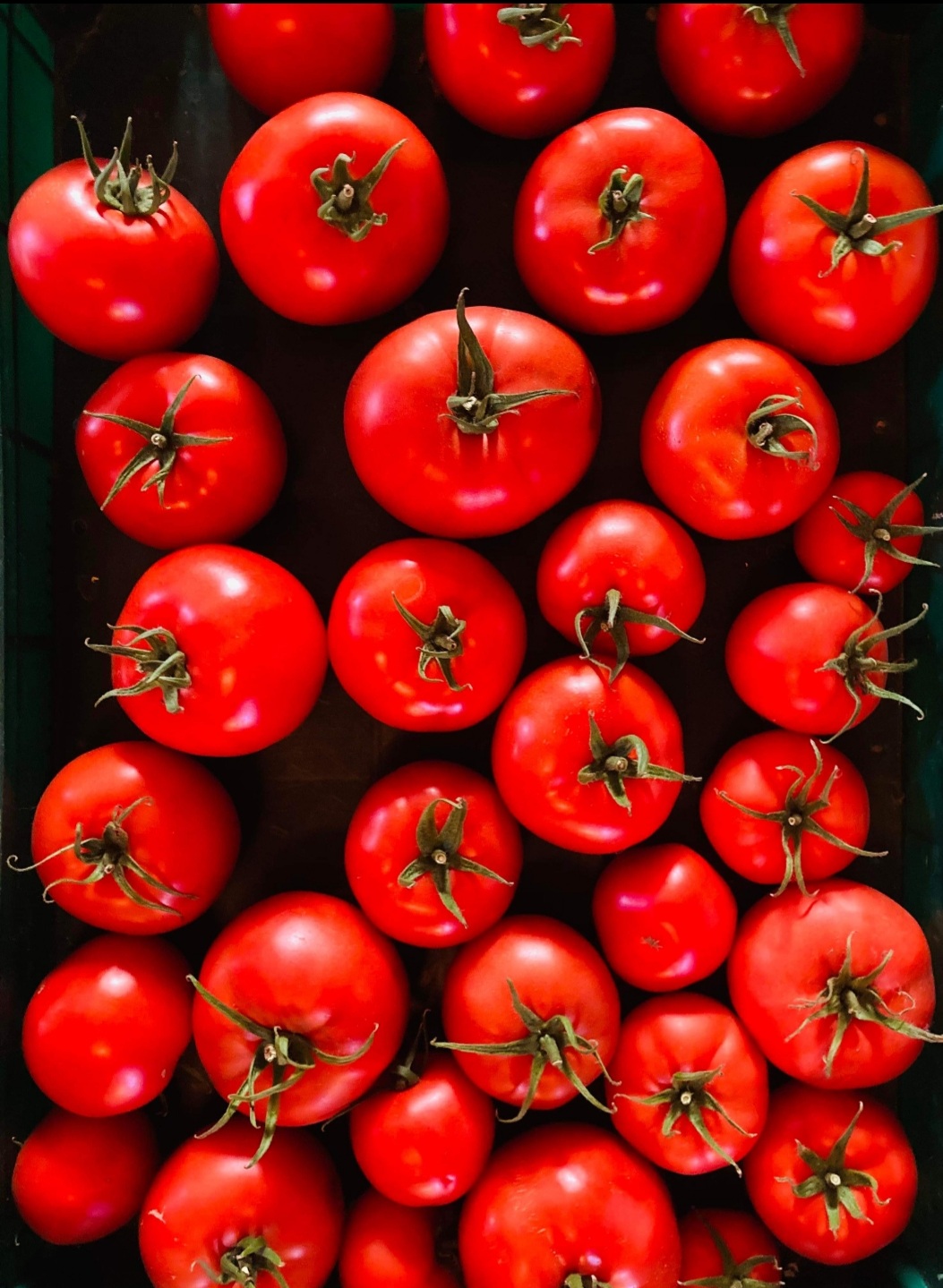 Tomate rouge 1lb