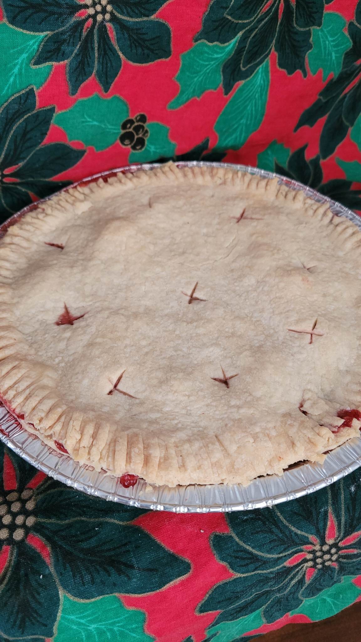 Tarte aux framboises 8 pouces