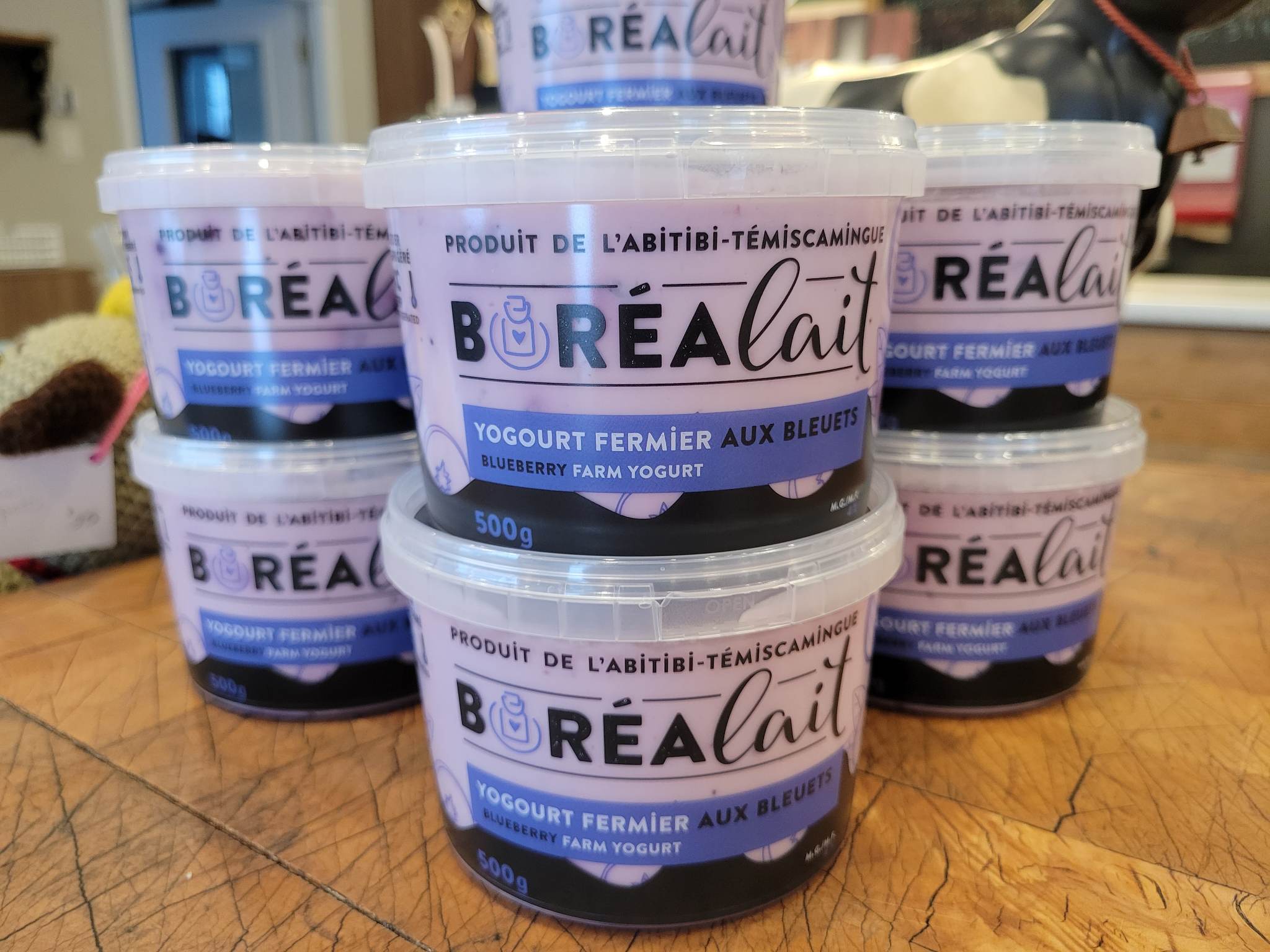 Yogourt aux bleuets 4% MG