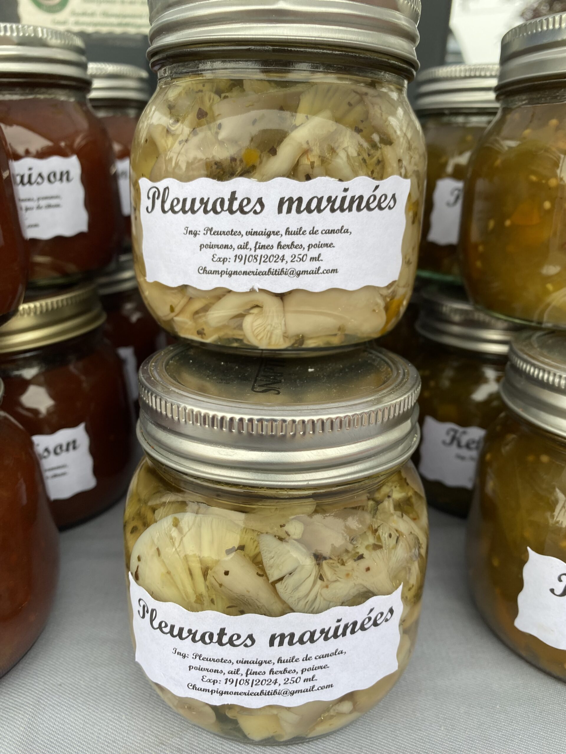 Pleurotes marinés