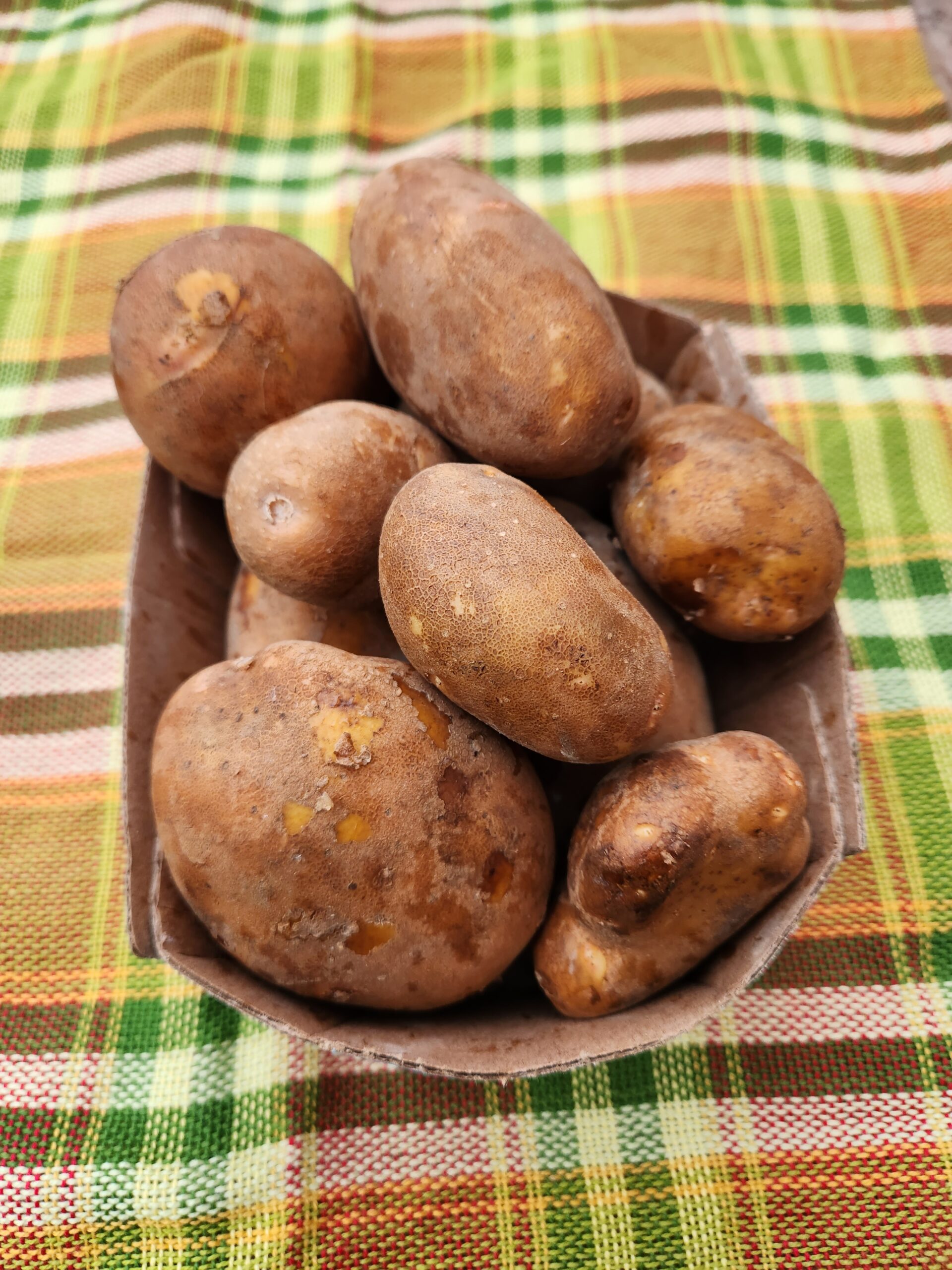 Patate blanche