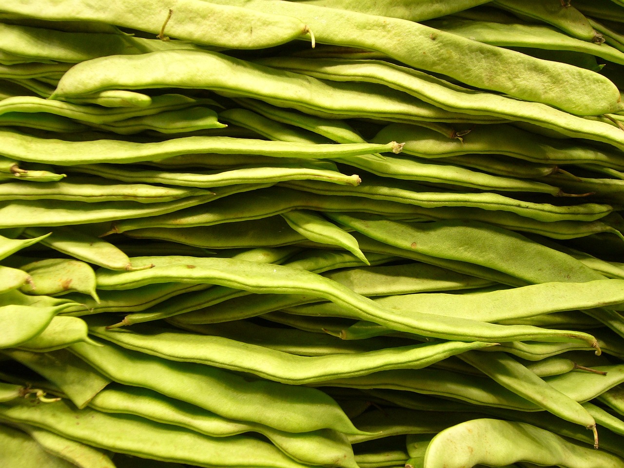 Haricots plats (1/2 lb)