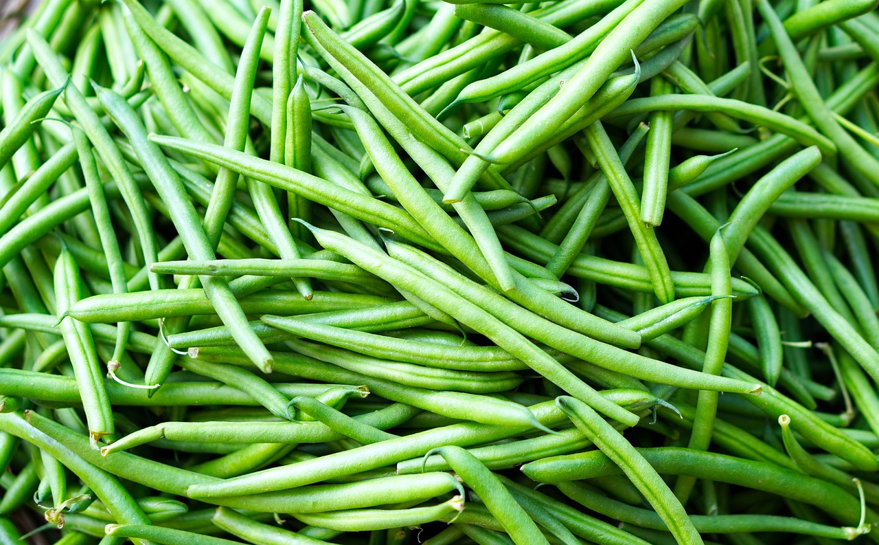 Haricots verts (1/2lb)