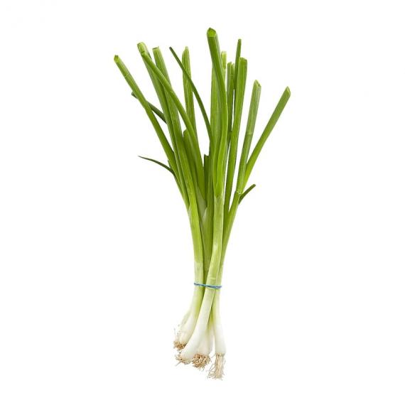 Oignons verts en botte