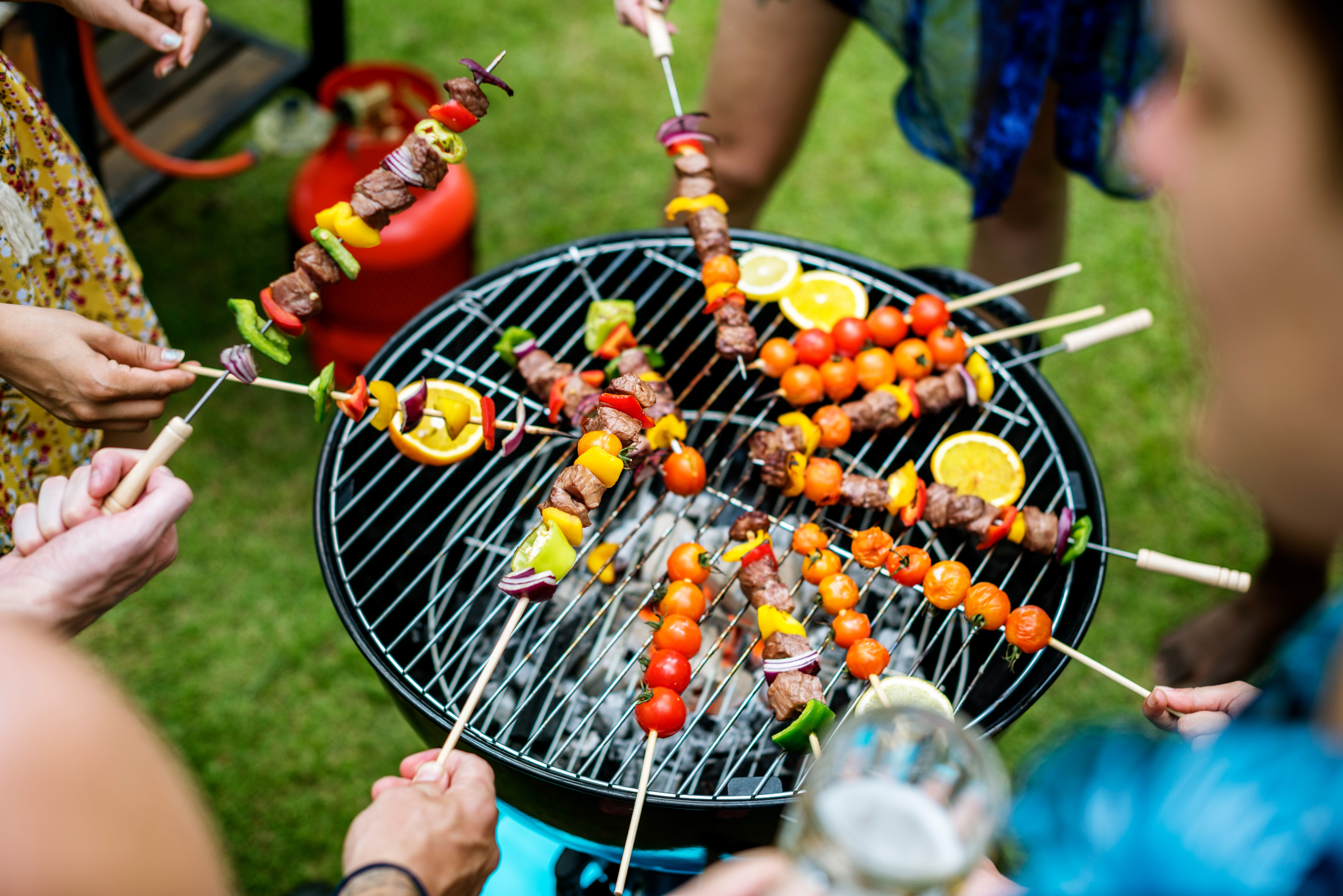 Cubes d’agneau à brochette