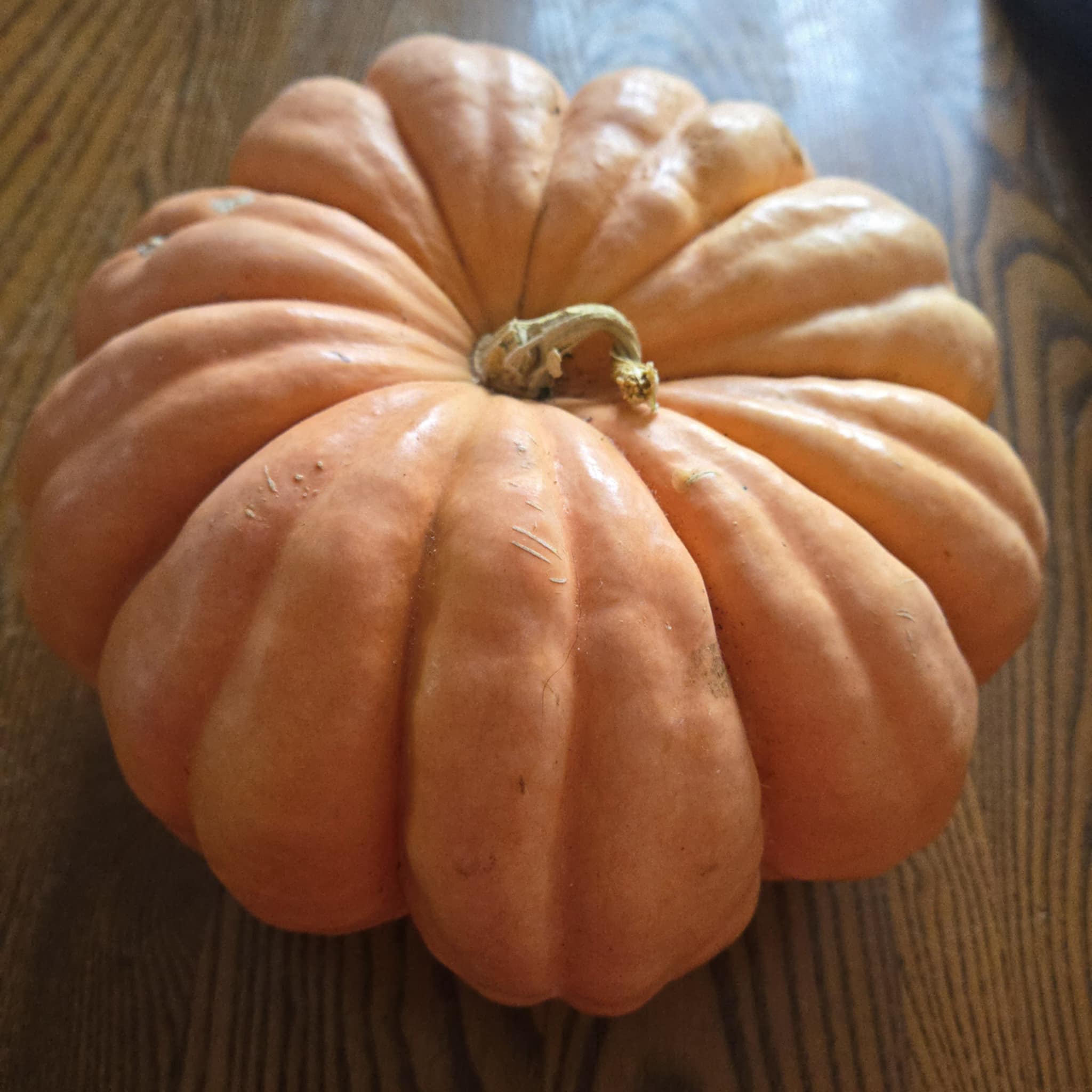 Citrouille