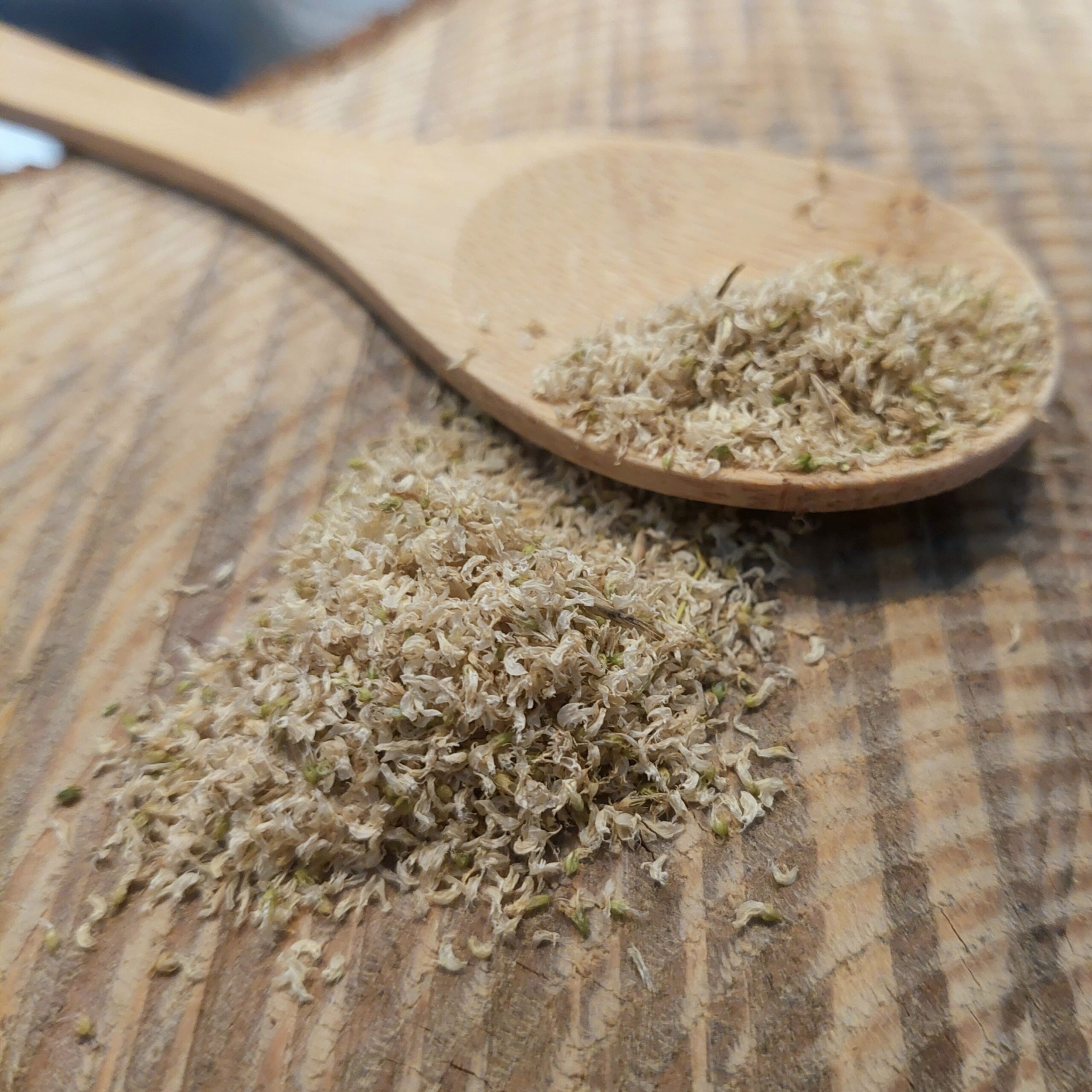 Vanille boréale (Mélilot) 2,5g