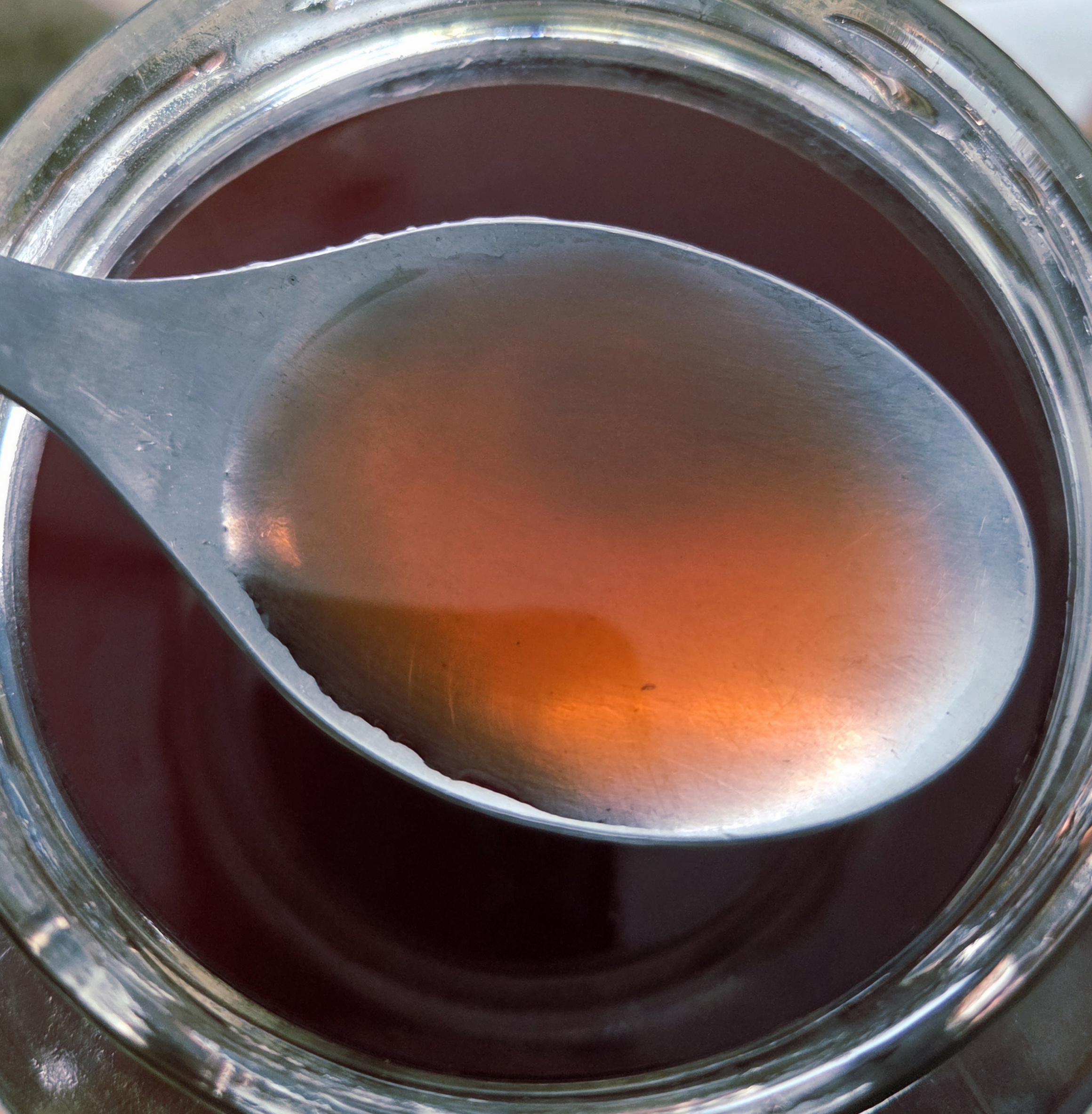 Oxymel au sumac vinaigrier – Image 2