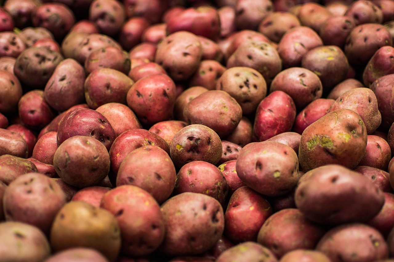 5lbs Pommes de terre rouges