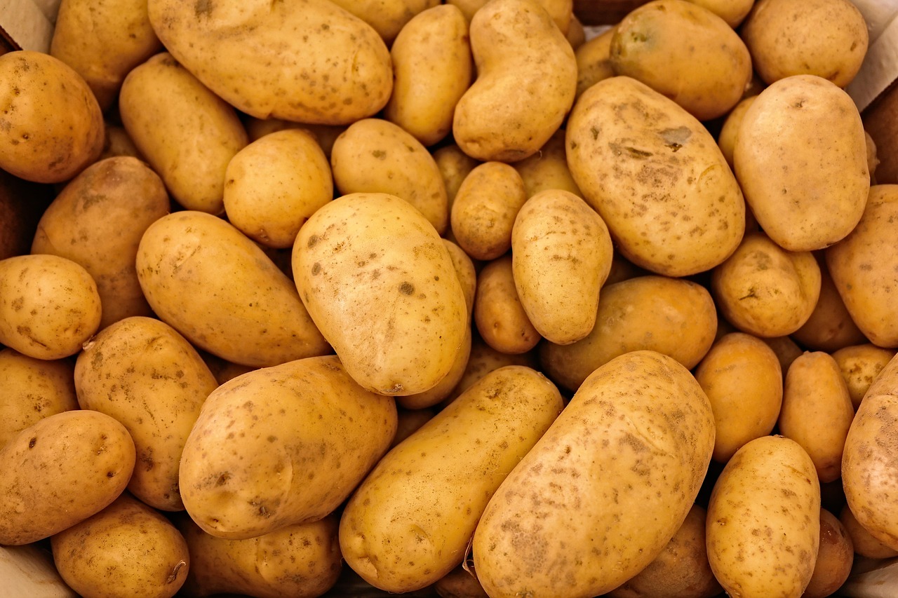 5lbs Pommes de terre blanches