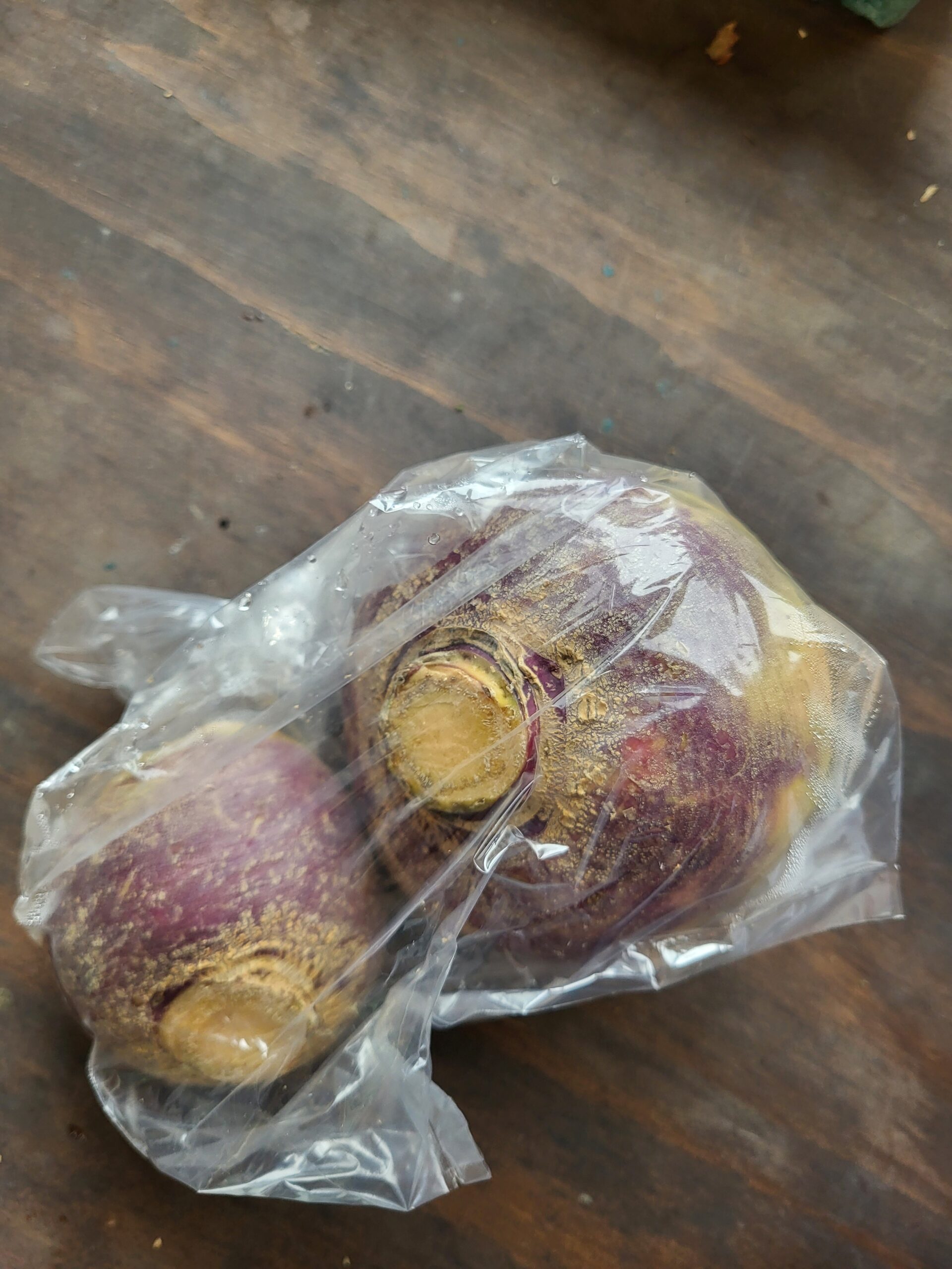 Rutabaga bio – Image 2